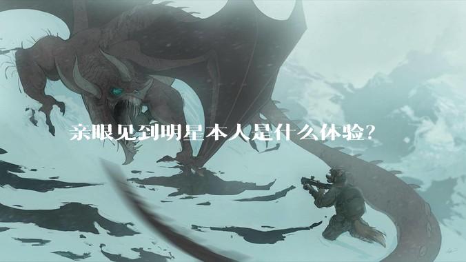 亲眼见到明星本人是什么体验？