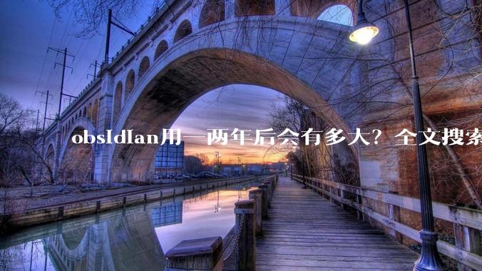 obsidian用一两年后会有多大？全文搜索还快吗？