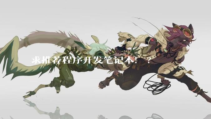 求推荐程序开发笔记本！?