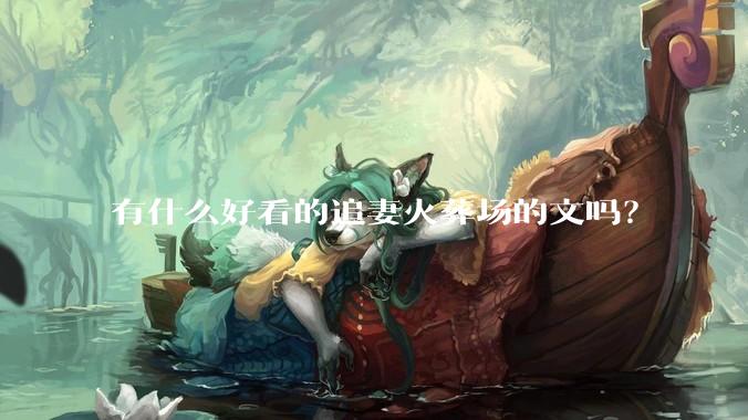 有什么好看的追妻火葬场的文吗？
