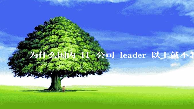 为什么国内 IT 公司 leader 以上就不怎么写代码，而据说 Google 的 Jeff Dean 还写代码？到底哪种情况好呢？